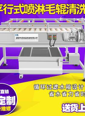 连续式小台芒清洗机 压鹰嘴芒清洗机 大型太阳芒压清洗流水线