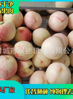 大型工业黄桃蒸汽去皮机无需剂 损耗低 运行效适配规模化生产