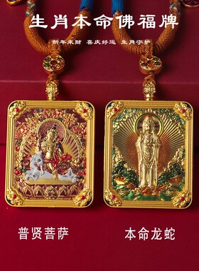 2026普陀山新款唐卡南海观音方形项链八大守护神吊坠佛牌挂件双面