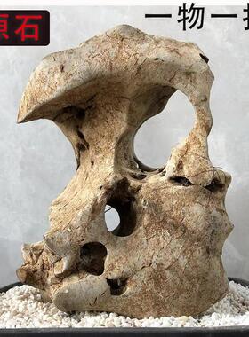 太湖石天然原石奇石鱼缸摆件假山石头景观石盆景园林灵璧石观光石