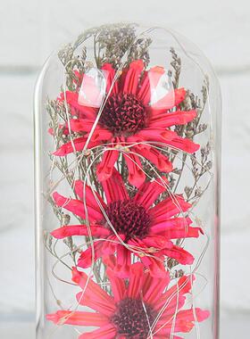 工厂3朵太阳花干花花束芝麻花玻璃灯罩LED节日礼品永生花夜灯