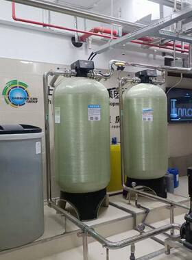10吨软化水设备全自动工业锅炉水井河水软化水处理供应软水机
