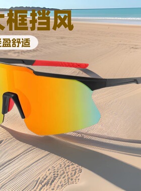 骑行护目镜户外运动徒步登山防风沙防紫外线偏光日夜两用变色
