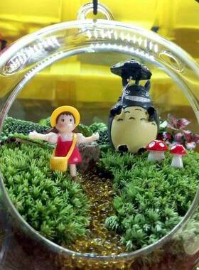 双孔玻璃圆球花微景观生态园艺挂件饰品 多肉植物苔藓花