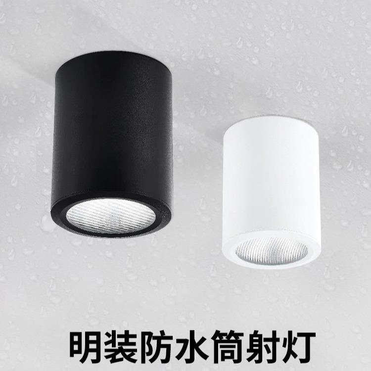Led waterproof surface mounted downlight outdoor shop door balcony terrace bathroom hotel canopy swimming pool outdoor spotlight