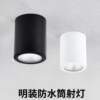 Led waterproof surface mounted downlight outdoor shop door balcony terrace bathroom hotel canopy swimming pool outdoor spotlight