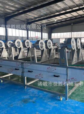 不锈钢连续辣椒气泡清洗机 云南橘子清洗机 福建百香果清洗机