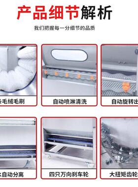 毛刷式土豆脱皮用清洗机洗土豆芋头胡萝卜洋葱生姜商用清洗机