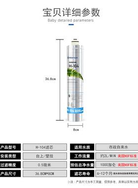滨特尔爱惠浦（Everpure）H-104 净水机滤芯H100 EF-900P通用滤芯