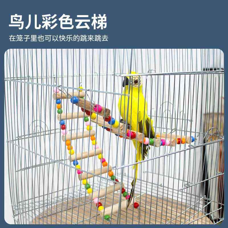 鹦鹉用品鸟玩具 旋转梯鸟爬梯 啃咬玩具鹦鹉 秋千站架站杠云梯,淘宝优惠券,粉丝福利购,淘宝优惠卷