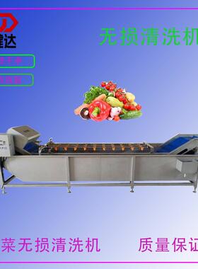 叶菜类清洗机鼓泡式清洗不伤物料气泡清洗机高压喷淋清洗
