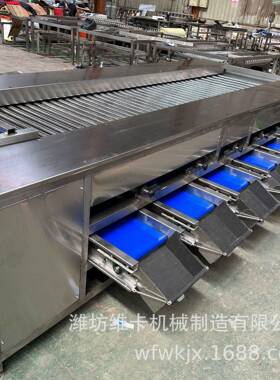 荔山枝直径选果机用 萝卜胡大小分选机小型家水果分拣机 东源头厂