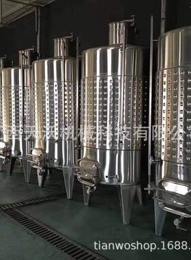 天沃机械葡萄酒恒温发酵罐不锈钢果酒红枣酒发酵罐蓝莓酒发酵罐