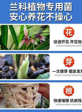 兰灵王兰花专用肥料EM菌微生物杀菌多箭素君子兰蝴蝶兰墨兰营养液