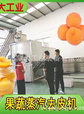 食品级黄桃去皮机无需剂耐腐蚀耐温适应连续加工环境