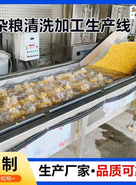 商用全自动花生米清洗机红豆加工清洗流水线玉米气泡清洗机设备