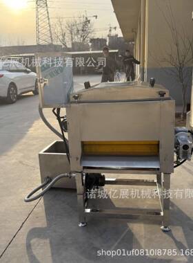 全自动粽叶芦苇叶荷叶清洗机芭蕉叶压喷淋清洗设备