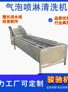 大枣多功能清洗机果蔬气泡清洗机净菜加工设备清洗机械