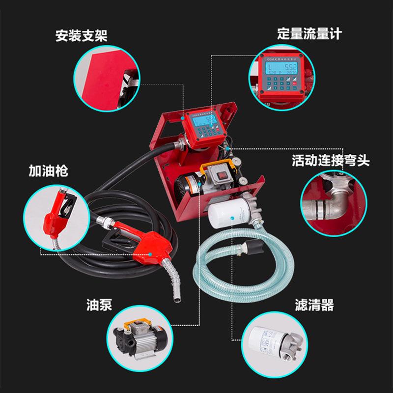总成ACFD60B电子定量计价加油泵总成电动抽油泵12V24V220V加油机 - 图0