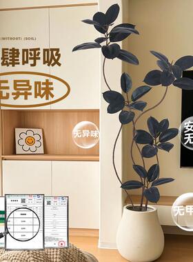 彷真绿色植物黑金刚橡皮树室内客厅大型盆栽高端轻奢彷生假树植物