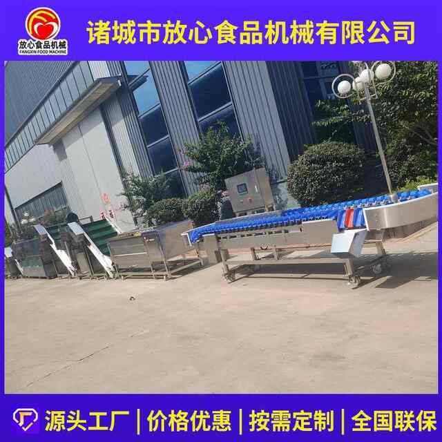 Gastrodia elata graded washing, steaming, cooking, sorting, drying and drying assembly line Gastrodia elata cleaning installation FX-FXJ steaming and drying line