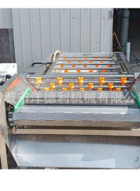 橘子果蔬菜气泡清洗机竹笋连续蔬菜洗菜机西蓝花生菜喷淋清洗设备