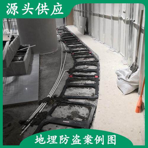 晟南服装店铺隐形门禁地埋防盗系统隐蔽式防盗门声磁防盗报警器 - 图2