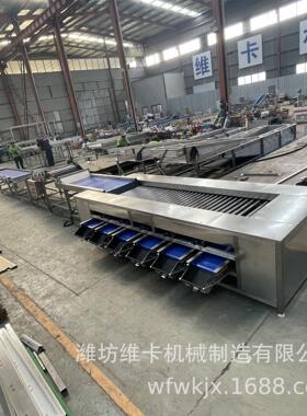 荔枝直径选果机 胡萝卜大小分选机小型家用水果分拣机 山东源头厂