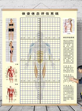 体态评估图健身房体测表瑜伽私教站姿形体脊椎修覆身体装饰挂画