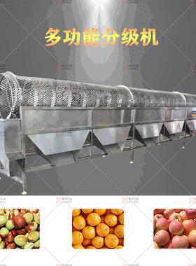 全自动滚筒式分选机云南核桃分选设备不锈钢材质甜橙分级机