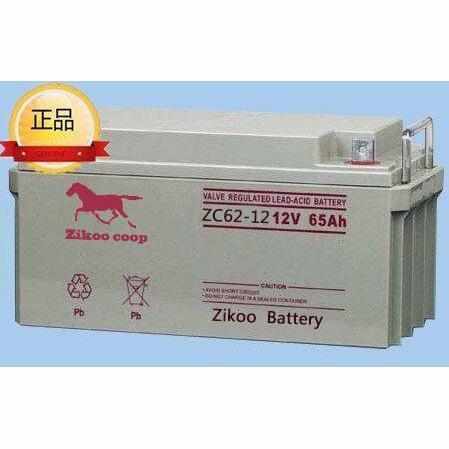 zikoocoop卓肯蓄电池ZC24-12 耐高低温型 太阳能光伏发电电源 - 图1