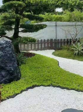 白色石子色砾石园白林造景灰色250627碎石深雪花雨花石黑花园铺路