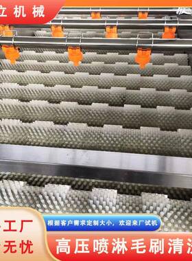 小金桔余甘子清洗机高压喷淋式柠檬李子清洗去杂机苹果打蜡机