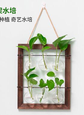 木架水培植物玻璃瓶生态瓶壁挂式水培花瓶书房客厅墙面装饰品