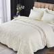 2022 new European style bed cover single-piece cotton thickened quilted sheet three-piece set tatami kang mat universal for four seasons