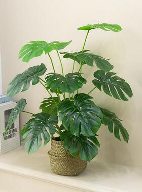 北欧彷真绿色植物龟背盆景假花室内桌面植物小盆栽客厅家居装饰摆