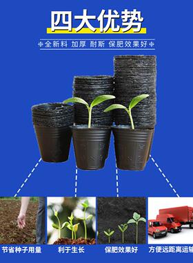 育苗杯营养杯营养钵育苗塑料花盆加厚一次性农用槟榔袋育苗袋花盆
