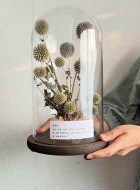 样板间轻奢植物标本装饰品玻璃罩摆件花艺中草药覆古简约标摆件