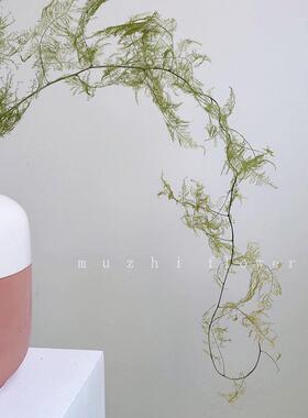 干燥花花束文竹真花风干天然永生花植物插花家装饰轻奢高级客厅摆