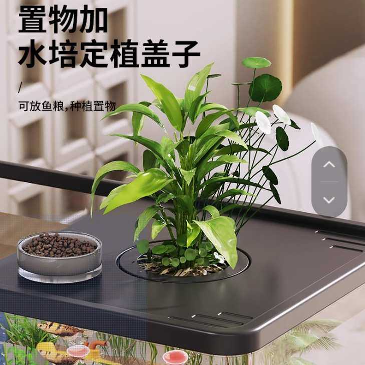 鱼缸小型桌面客厅生态造景过滤制氧一体机2025新款带盖家用金鱼缸,淘宝优惠券,粉丝福利购,淘宝优惠卷
