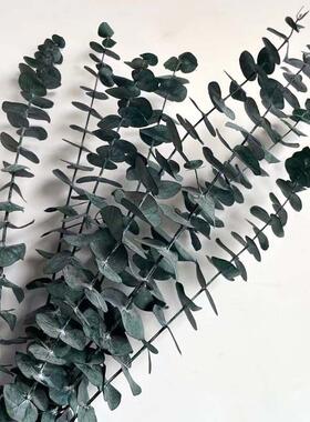 35~40CM/10PCS Real Dried Natural Fresh Eucalyptus Branches,