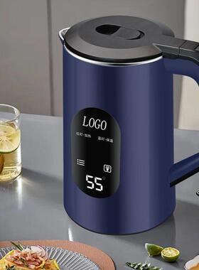 Electric Kettle Thermal Insulation Kettle 3l Large Capacity