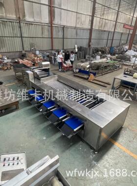 大型商用红薯土豆分拣机 坚固耐用 滚杠分级机砂糖橘分选机厂家