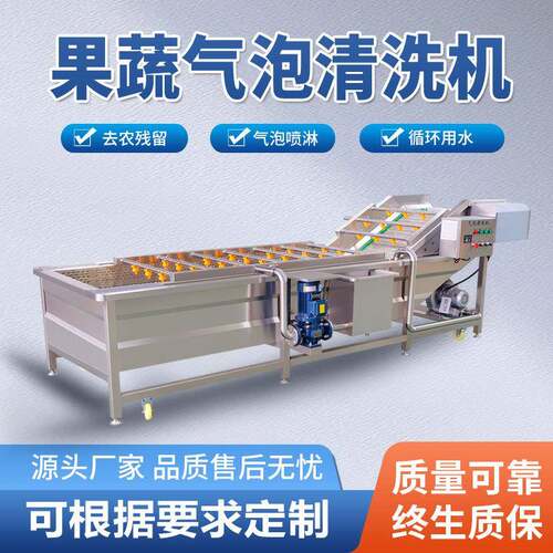 果蔬气泡清洗机果汁加工清洗设备中药材清洗气泡喷淋清洗机 - 图0
