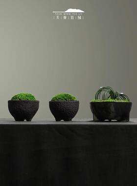 天青苔绿 东方美学金属永生苔藓组合 民宿茶空间茶几边几展柜摆件