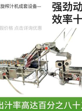 鲁强自动上料清洗榨汁型 大果汁饮料工加设备 螺旋破碎榨汁机机厂