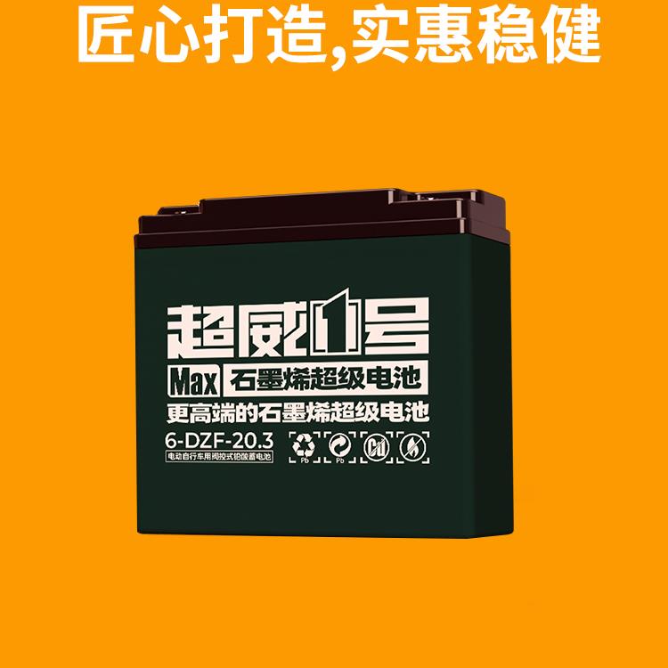 电池铅酸48V12A48V20A电动车三轮车电瓶60V20A72上门安装国标 - 图2