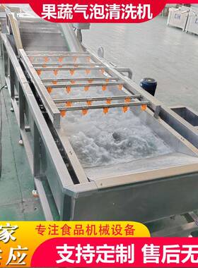 全自动蔬菜水果清洗机桂皮八角气泡清洗机设备厂家商用花椒清洗机