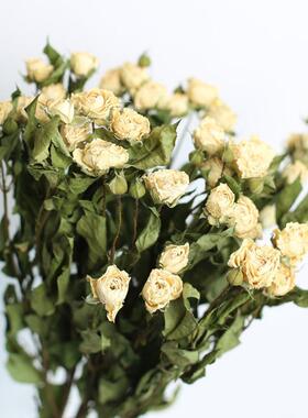 香槟玫瑰花干 干燥花真花客厅摆设碎冰蓝花束装饰diy材料永生花高