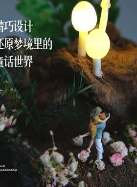 BANSHAN治愈情绪摆件植物微景观送闺蜜恋人生日求婚礼品高端浪漫